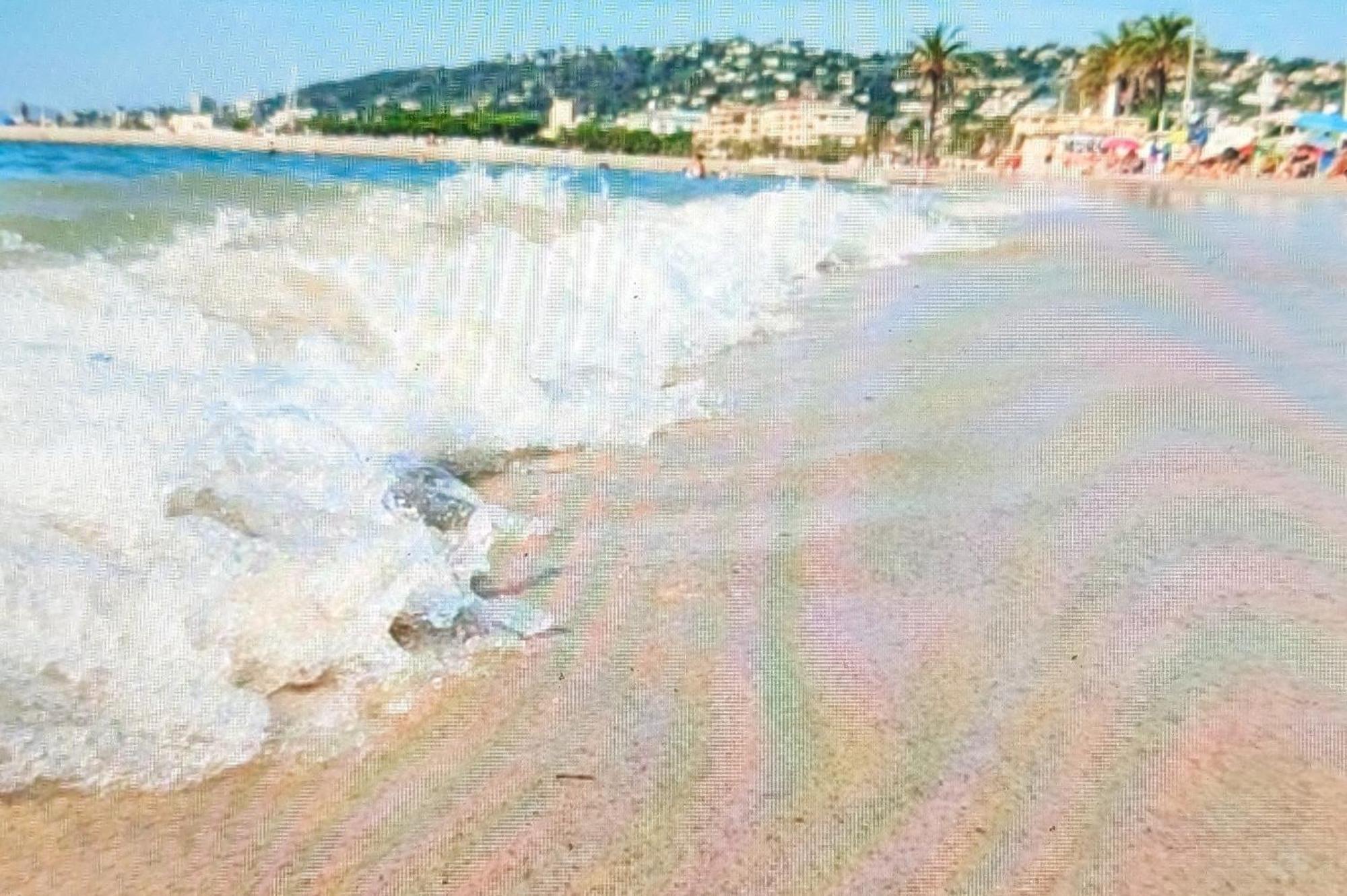 Residence De Vacances Avec Piscine & Transat, A 2 Minutes Des Plages - Bat N2 Vallauris Εξωτερικό φωτογραφία